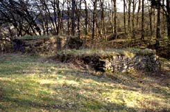 Turmfundament an der Ostseite der Hauptburg. Foto: J. Friedhoff (2002)